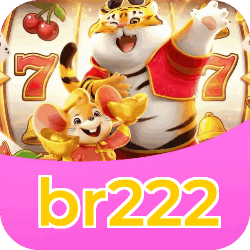 Interface br222